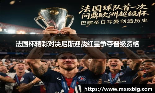 法国杯精彩对决尼斯迎战红星争夺晋级资格